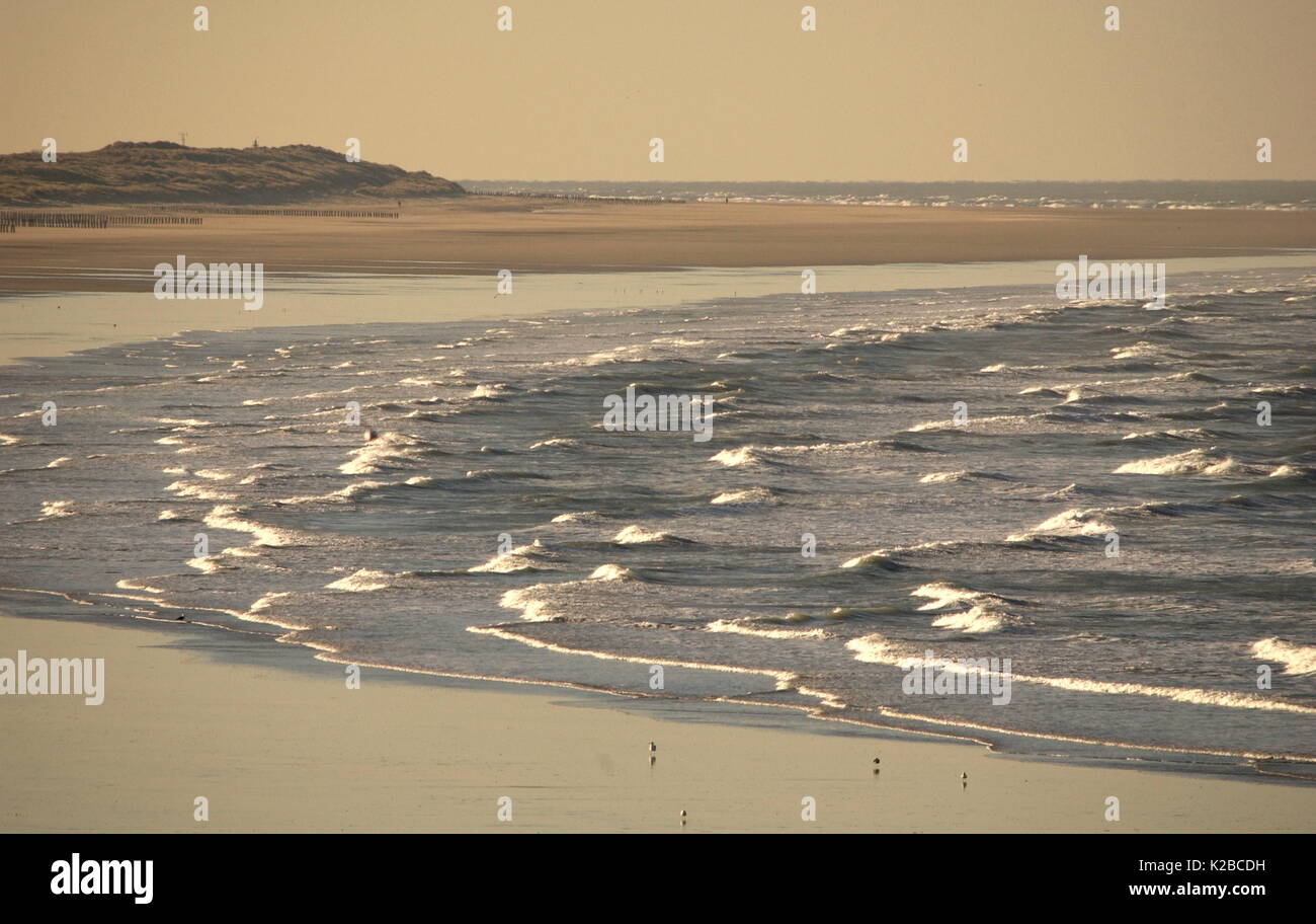 AJAXNETPHOTO. CALAIS, Frankreich. - Stürmische MEERE ROLLEN AN DER KÜSTE NACH herbstlichen Stürme. Foto; Jonathan Eastland/AJAX REF: 90701 2121 Stockfoto