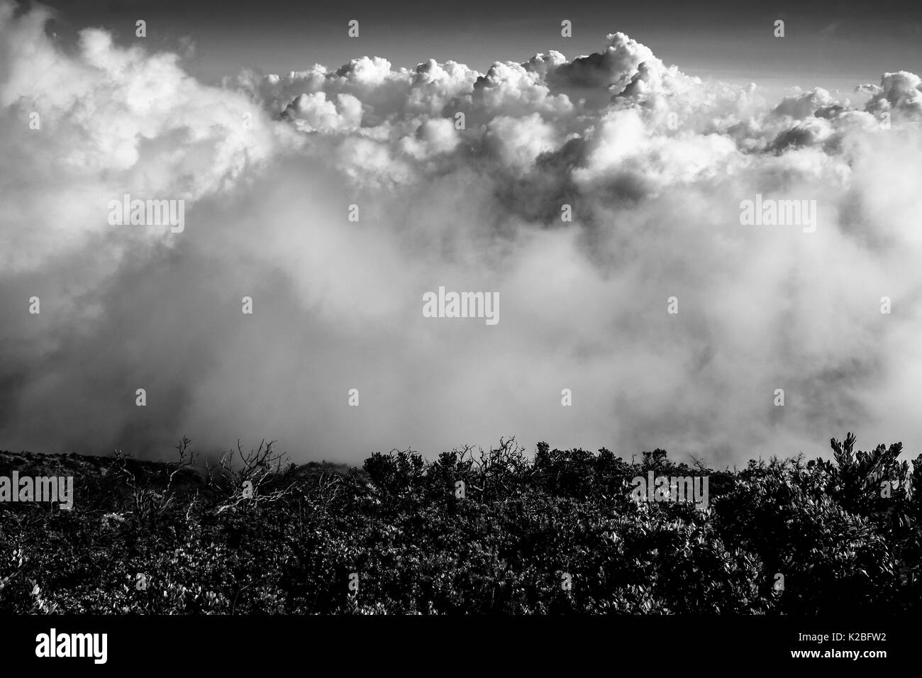 Wolken in Schwarz und Weiß in der Einfassung, Arjuno-Welirang, Ost Java, Indonesien Stockfoto