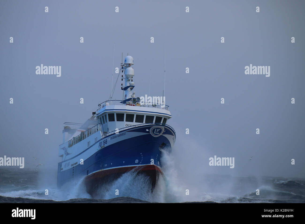 Fischereifahrzeug" Ocean Harvest' Angeln auf dem suduroy Bank, Färöer. april 2015. Eigentum veröffentlicht. Stockfoto