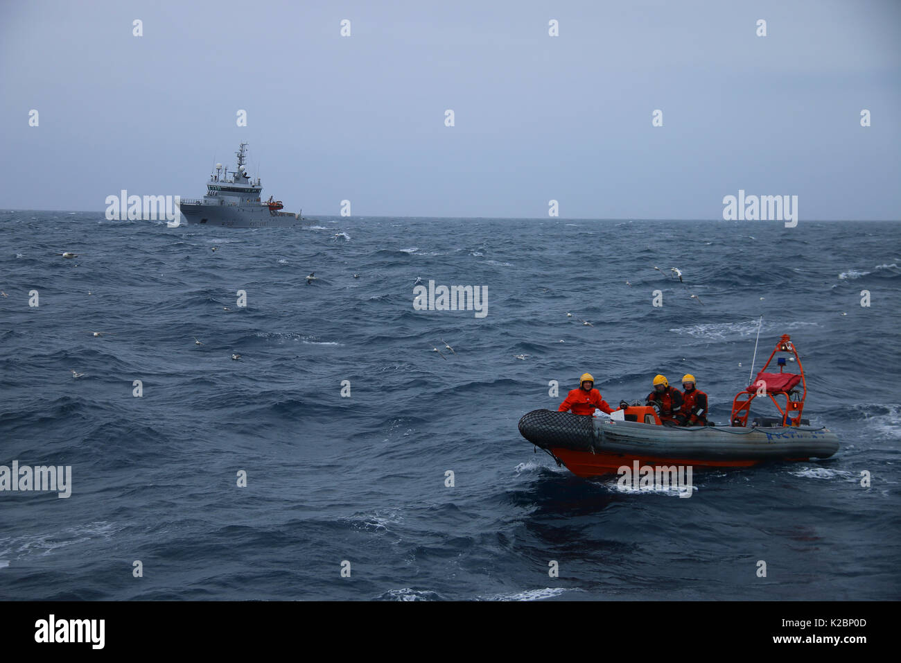 Norwegische Küstenwache Fischereiinspektoren auf Patrouille an der Nordsee. Aug 2015. Stockfoto