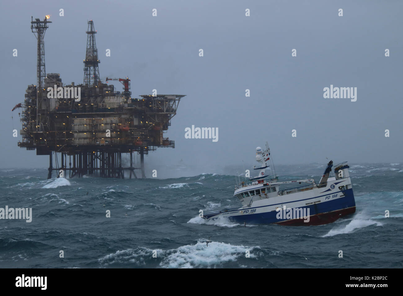 Fischereifahrzeug" Ocean Harvest" in der Nähe von 40er Delta Plattform, Nordsee, Januar 2016. Stockfoto