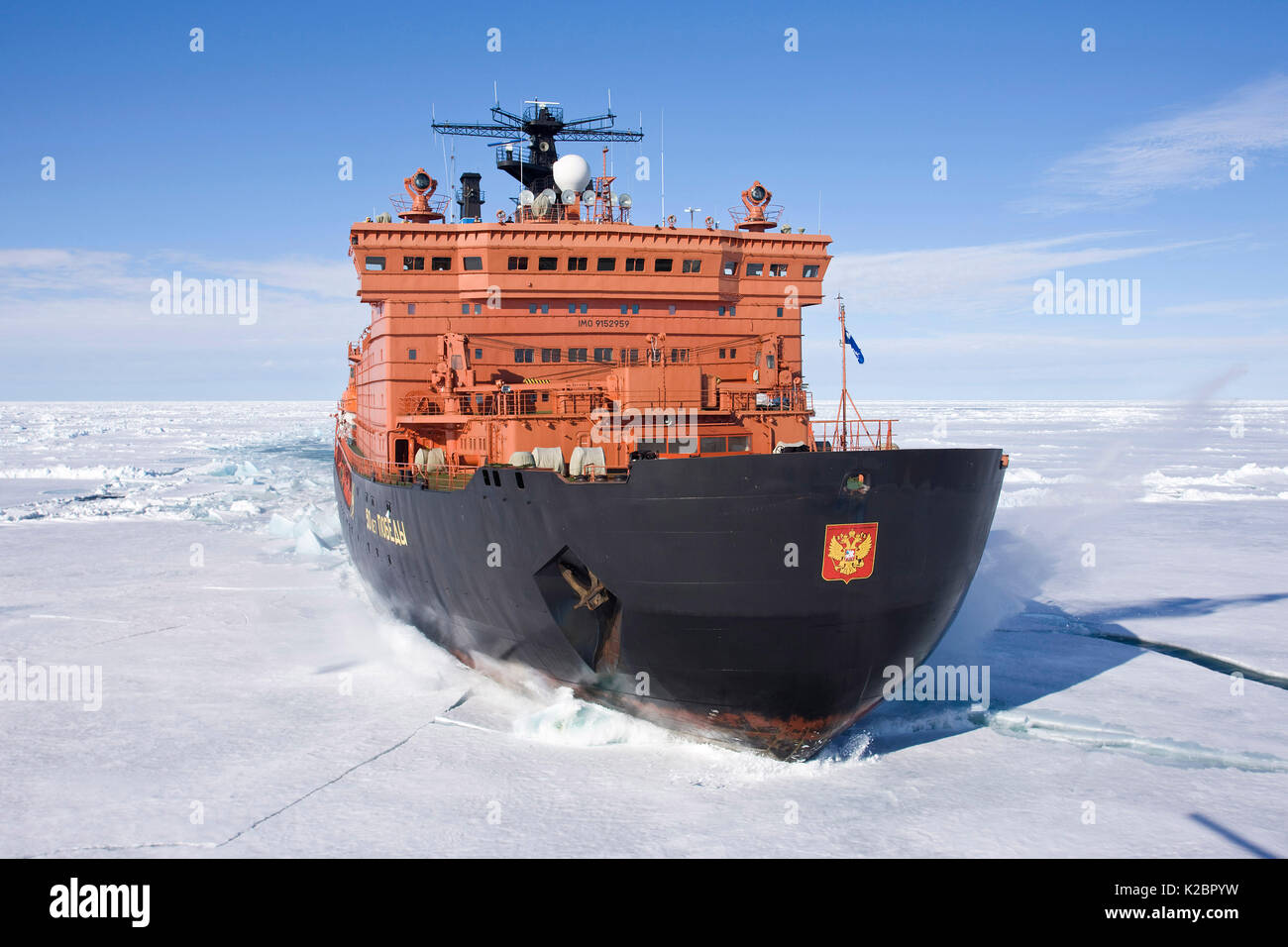 Die weltweit größte Atom-icebreaker, "50 Jahre Sieg", auf dem Weg zum Nordpol, Arktis, Juli 2008. Alle nicht-redaktionelle Verwendungen muß einzeln beendet werden. Stockfoto