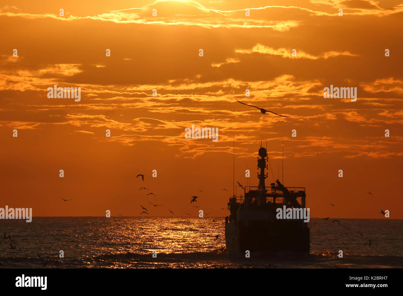 Fischereifahrzeug" Ocean Harvest' Position für zu Hause, als die Sonne über der Nordsee, UK, August 2014. Eigentum veröffentlicht. Alle nicht-redaktionelle Verwendungen muß einzeln beendet werden. Stockfoto