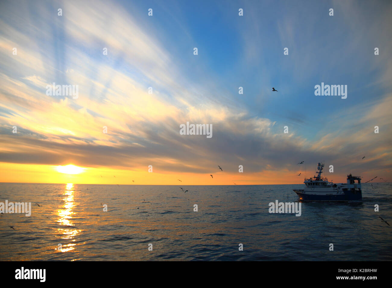 Fischereifahrzeug" Harvester" schleppen Net als Sonne über der Nordsee, Juli 2014. Eigentum veröffentlicht. Alle nicht-redaktionelle Verwendungen muß einzeln beendet werden. Stockfoto