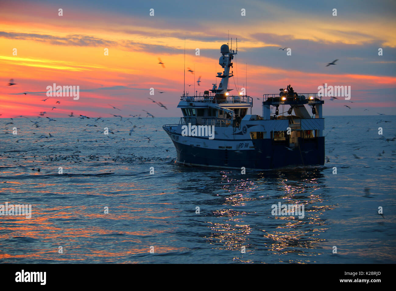 Fischereifahrzeug" Harvester" schleppen Fanggeräte wie Sonne über der Nordsee. Juli 2014. Eigentum veröffentlicht. Alle nicht-redaktionelle Verwendungen muß einzeln beendet werden. Stockfoto