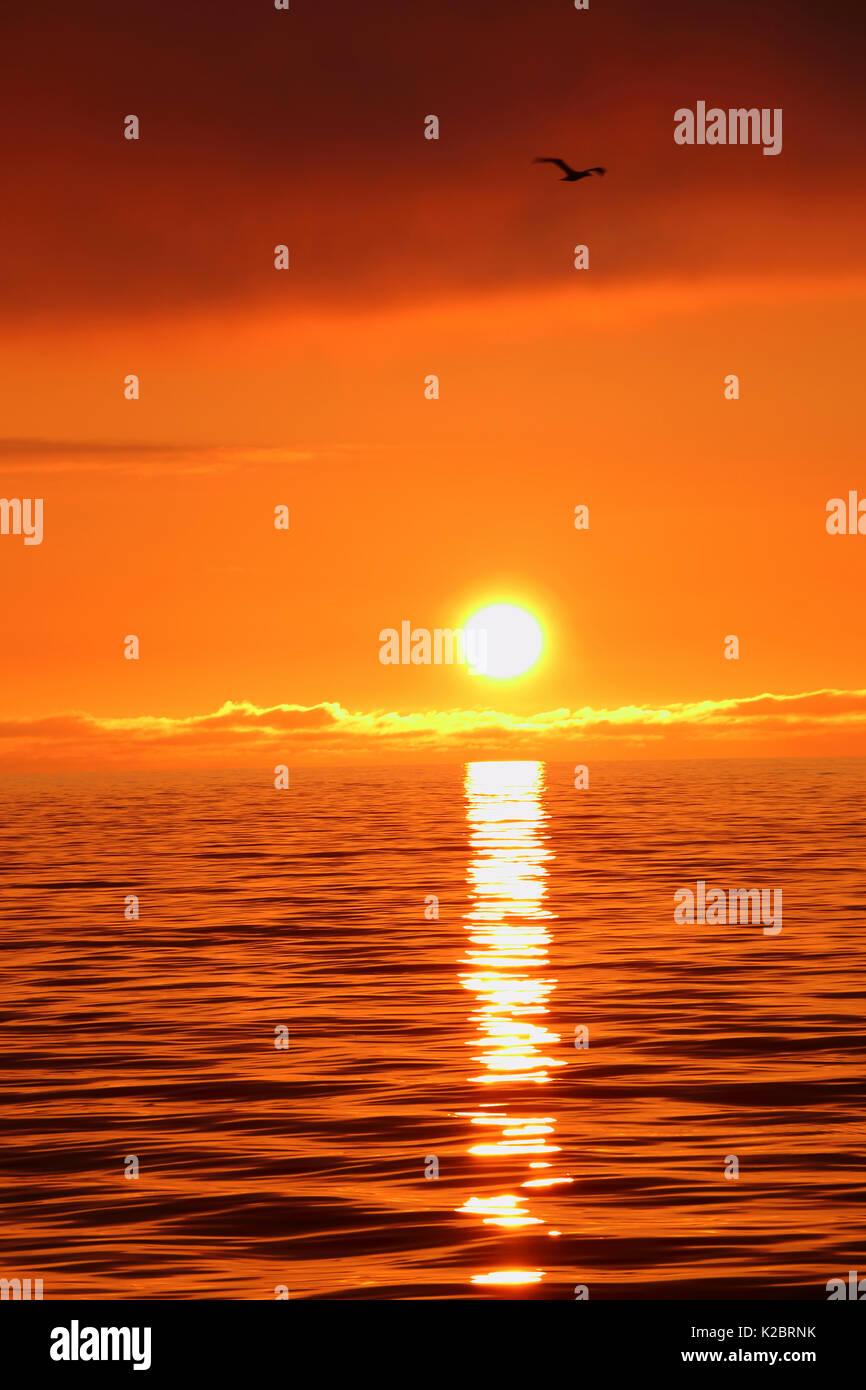 Reflexion der untergehenden Sonne auf der Nordsee, September 2014. Alle nicht-redaktionelle Verwendungen muß einzeln beendet werden. Stockfoto