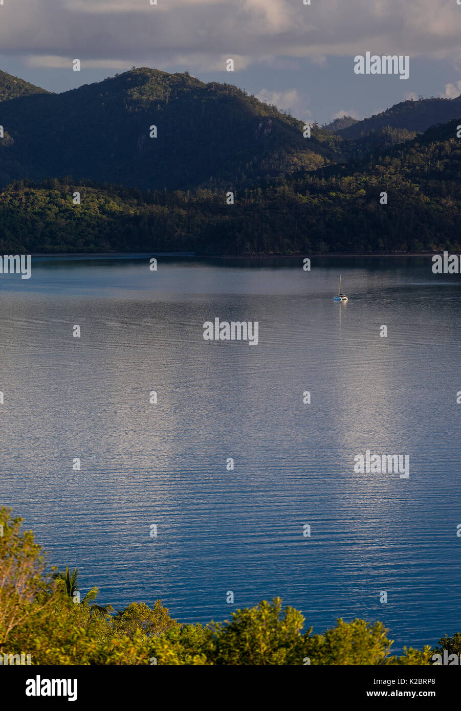 Hamilton Island, Teil der Whitsunday Inselgruppe, Queensland, Australien. November 2012. Stockfoto