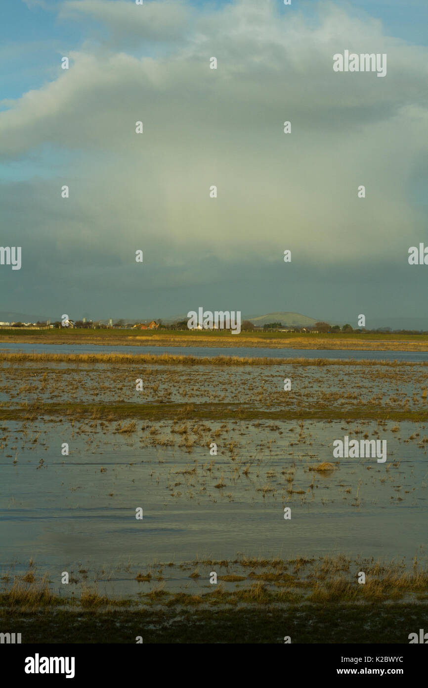 Steart Sümpfe Naturschutzgebiet, landwirtschaftliche Flächen in Wetland Reserve, Somerset, Großbritannien, Februar 2015 umgewandelt. Stockfoto