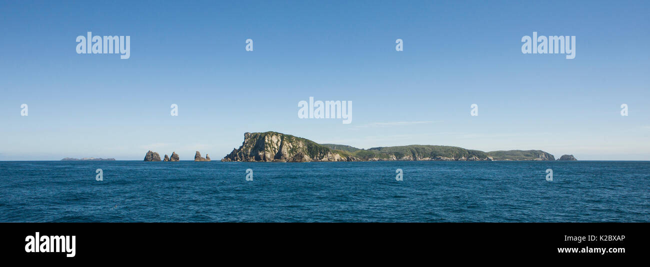 Landschaft der Snares Inseln, Sub-Antarctica Neuseeland. Februar 2008. Stockfoto