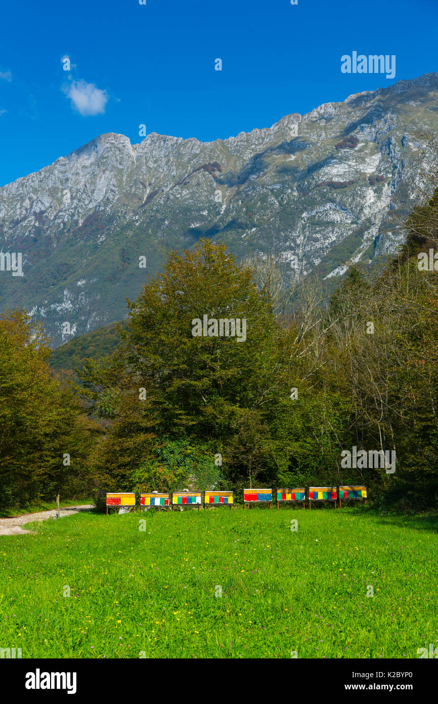 Reihe der bunte Bienenstöcke, in der Bergwelt, Soca Tal, die Julischen Alpen, Slowenien, Oktober 2014. Stockfoto