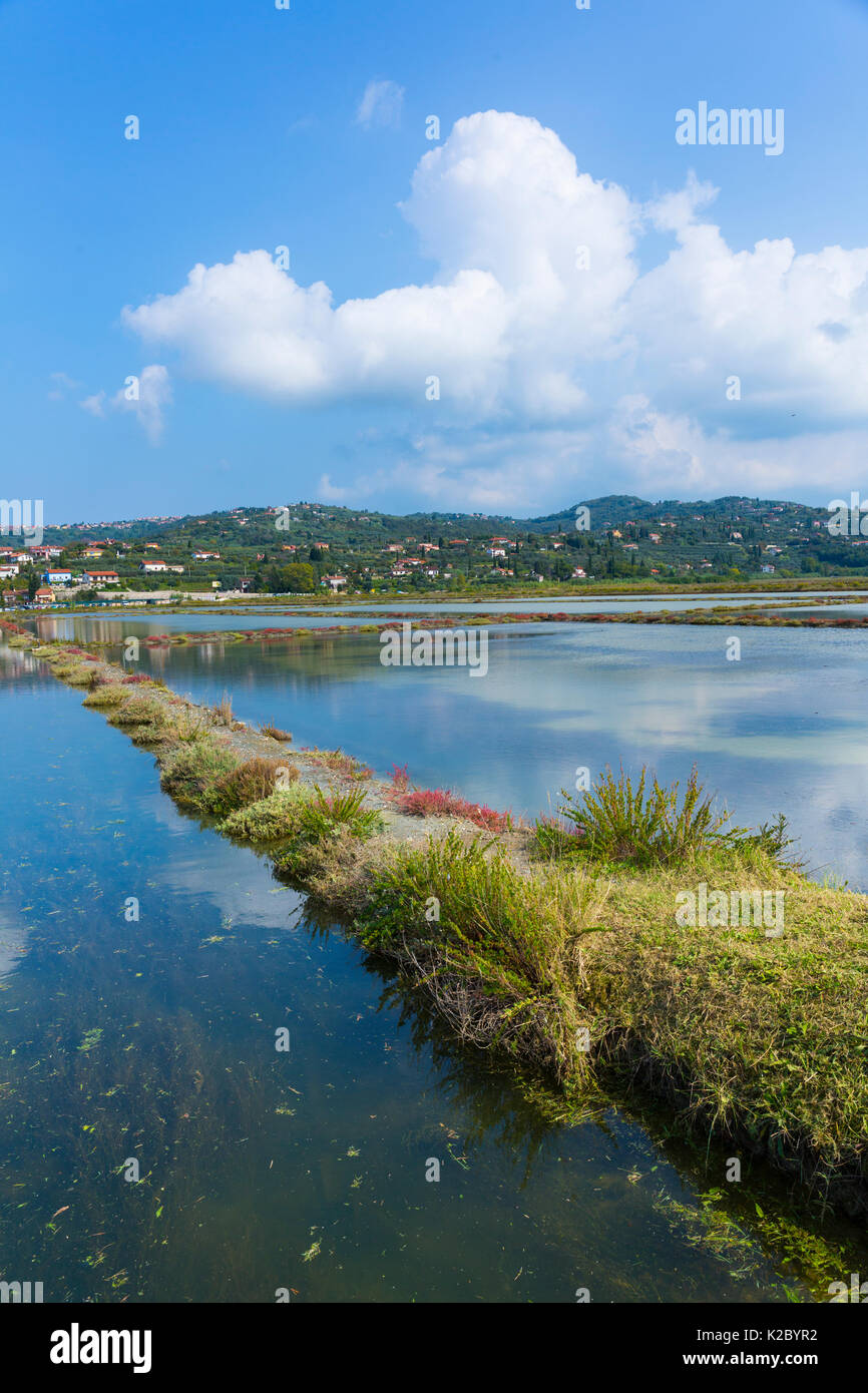 Salinen, Secovlje Saline Naturpark, Slowenien, Oktober 2014. Stockfoto