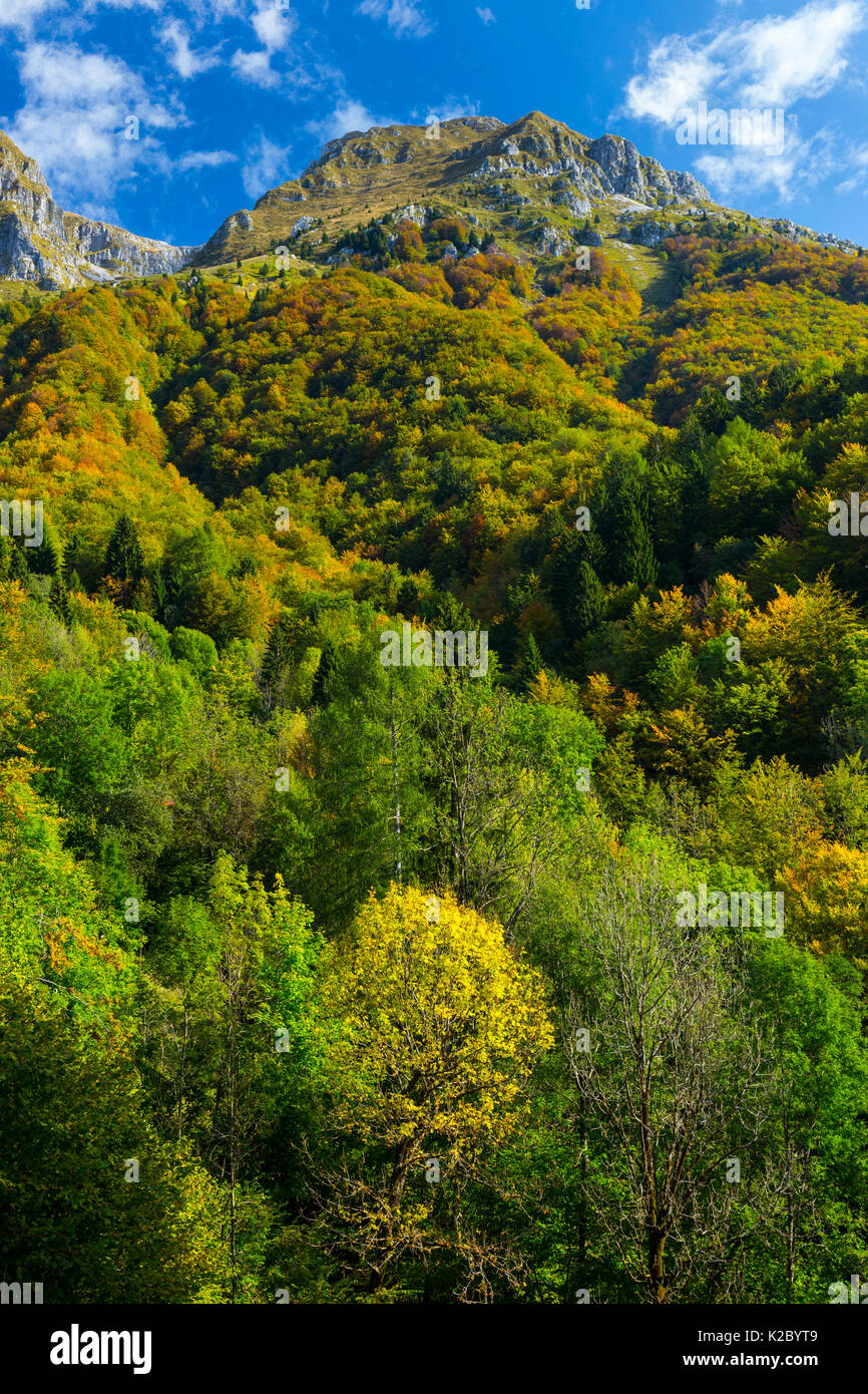 Landschaft der Wälder in den Julischen Alpen im Triglav Nationalpark, Slowenien, Oktober 2014. Stockfoto