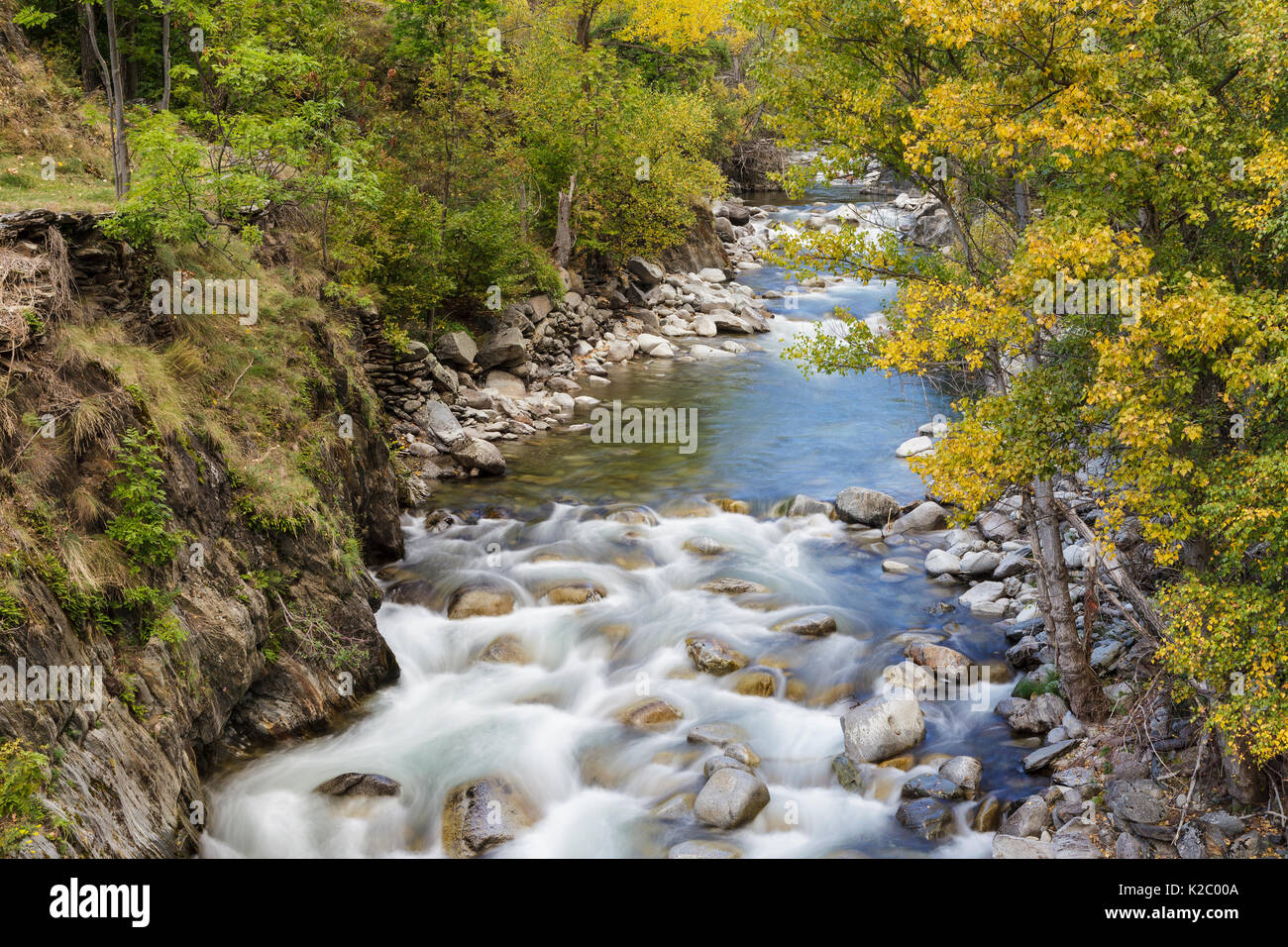 Die herbstlichen Bäume am Ufer des Flusses Noguera Pallaresa in Alt Aneu Naturpark. Aneu Tal. Pyrenäen. Lleida. Katalonien. Spanien, Oktober. Stockfoto