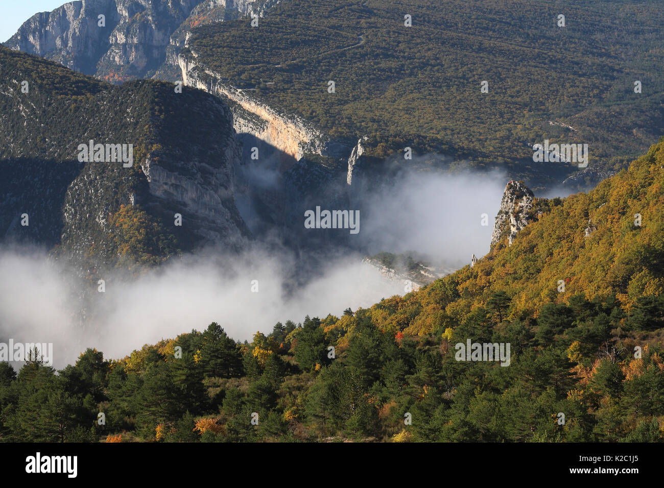 Misty Morning in Verdon Schlucht/Gorges du Verdon, Verdon Regionalen Naturpark, Alpes de Haute Provence, Provence, Frankreich, Oktober Stockfoto