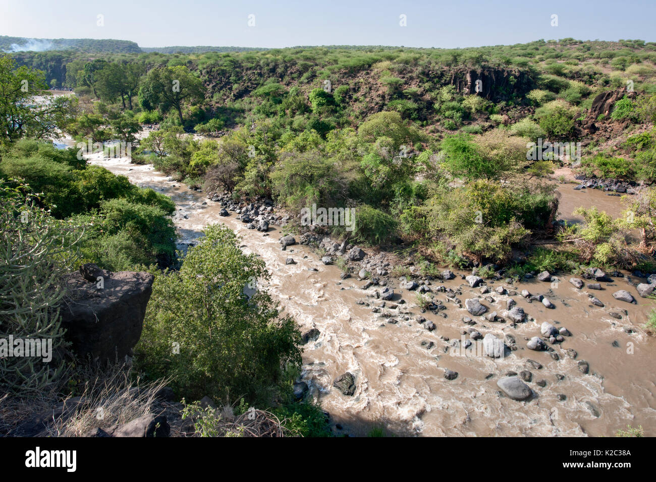 Awash River, Awash National Park, der Ferne Region, Great Rift Valley, Äthiopien, Afrika, März 2009. Stockfoto