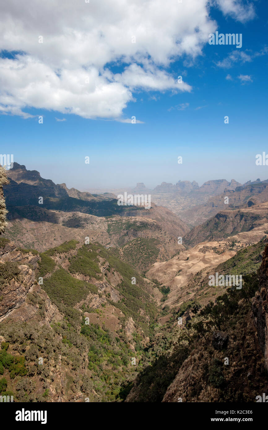 Weiten Blick auf Simien Mountains National Park, Amhara Region, Äthiopien, Afrika, März 2009 Stockfoto