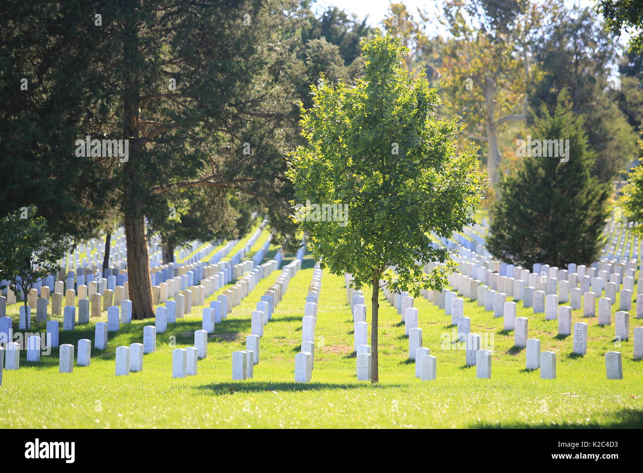 Arlington National Cemetery United States Military Cemetery in Arlington County, Virginia Stockfoto