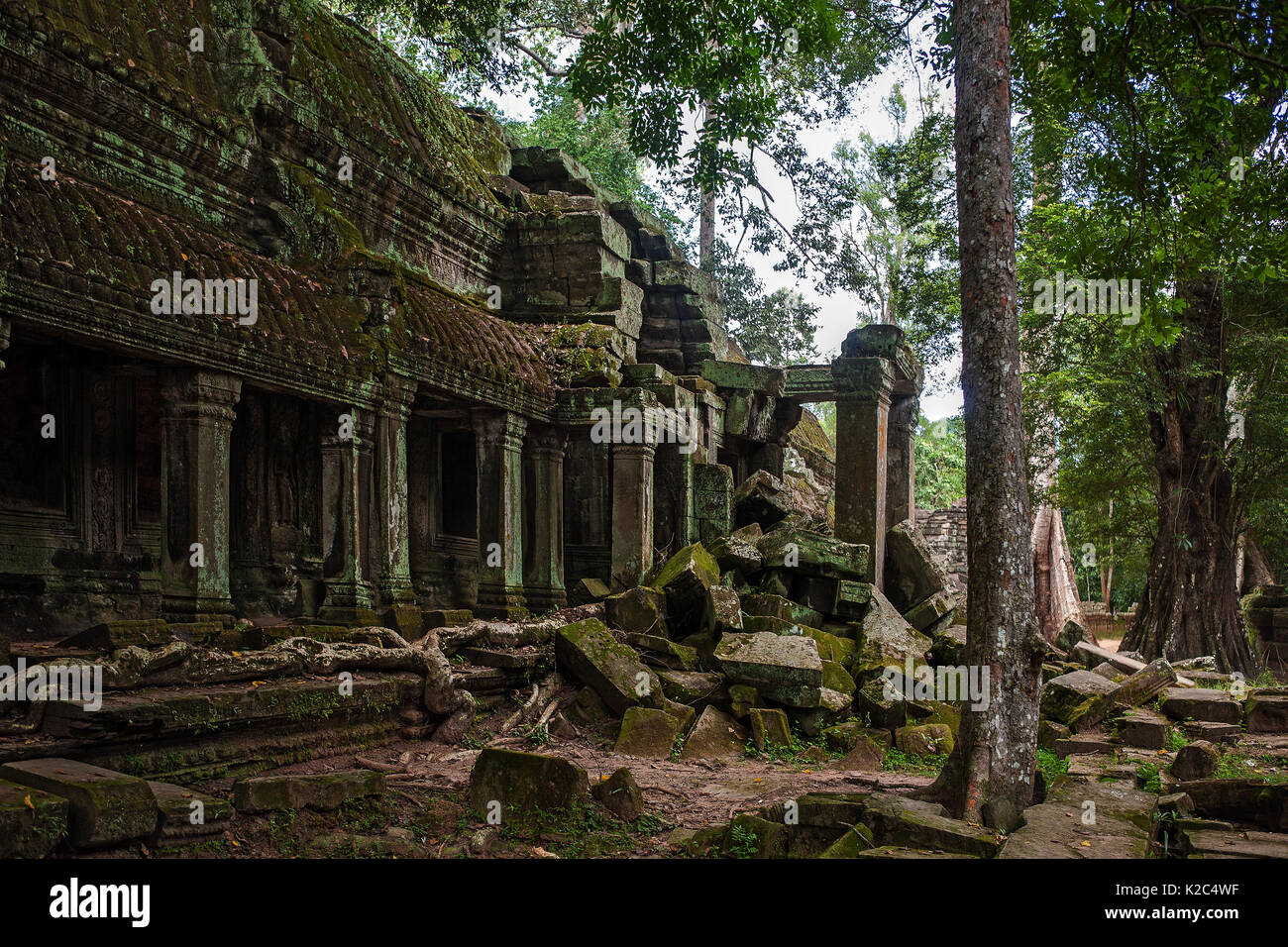 Ruiniert Galerie, äußeren südlichen Innenhof, Ta Prohm, Angkor, Siem Reap, Kambodscha Stockfoto