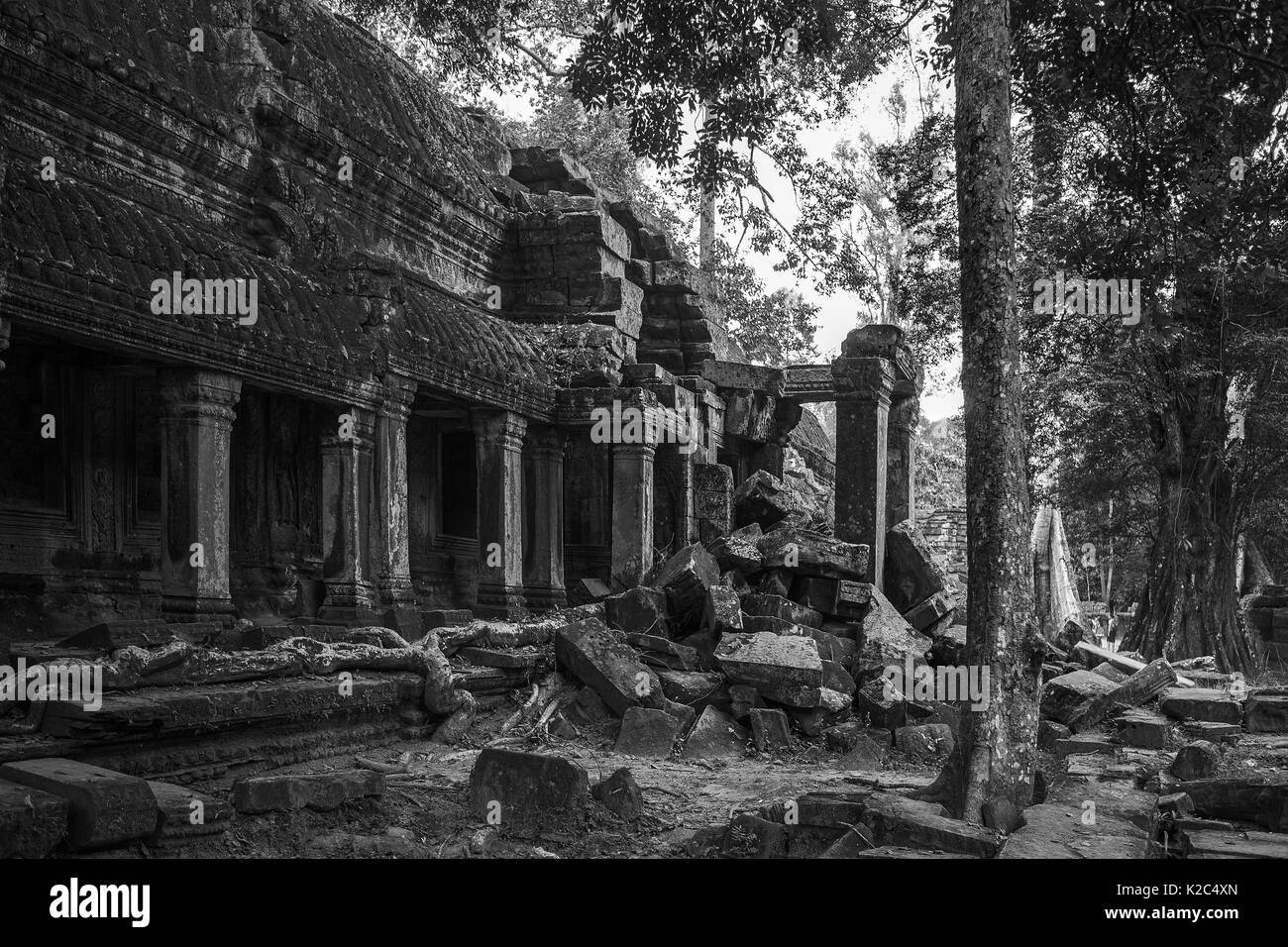 Ruiniert Galerie, äußeren südlichen Innenhof, Ta Prohm, Angkor, Siem Reap, Kambodscha: Schwarz und Weiss Stockfoto