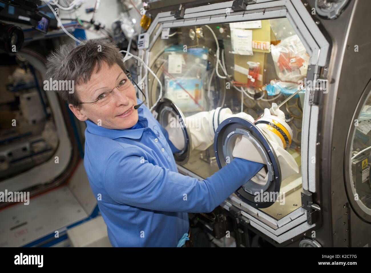 Die NASA ISS Expedition 51 prime Besatzungsmitglied amerikanische Astronautin Peggy Whitson arbeitet auf ein Experiment in den USA Labor Destiny Handschuhkasten für Schwerelosigkeitsforschung Mai 2, 2017 in der Erdumlaufbahn. Stockfoto