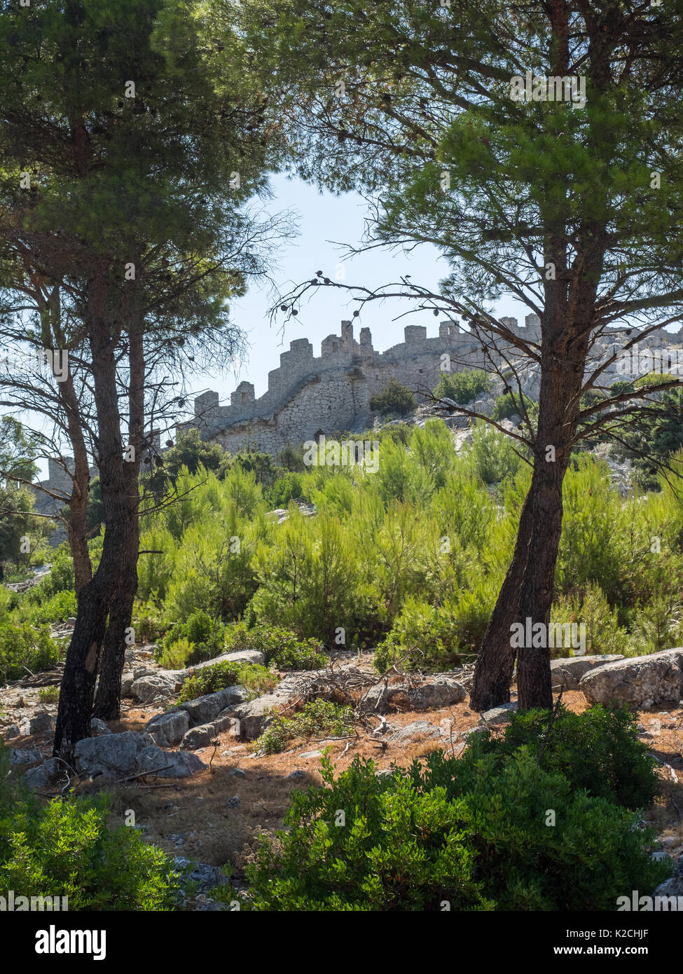 Einen Blick auf eine alte Steinmauer Ruinen mit Zinnen und Wälle von Wald Wald Bäume Kroatischen Küste klaren blauen Himmel umgeben Stockfoto