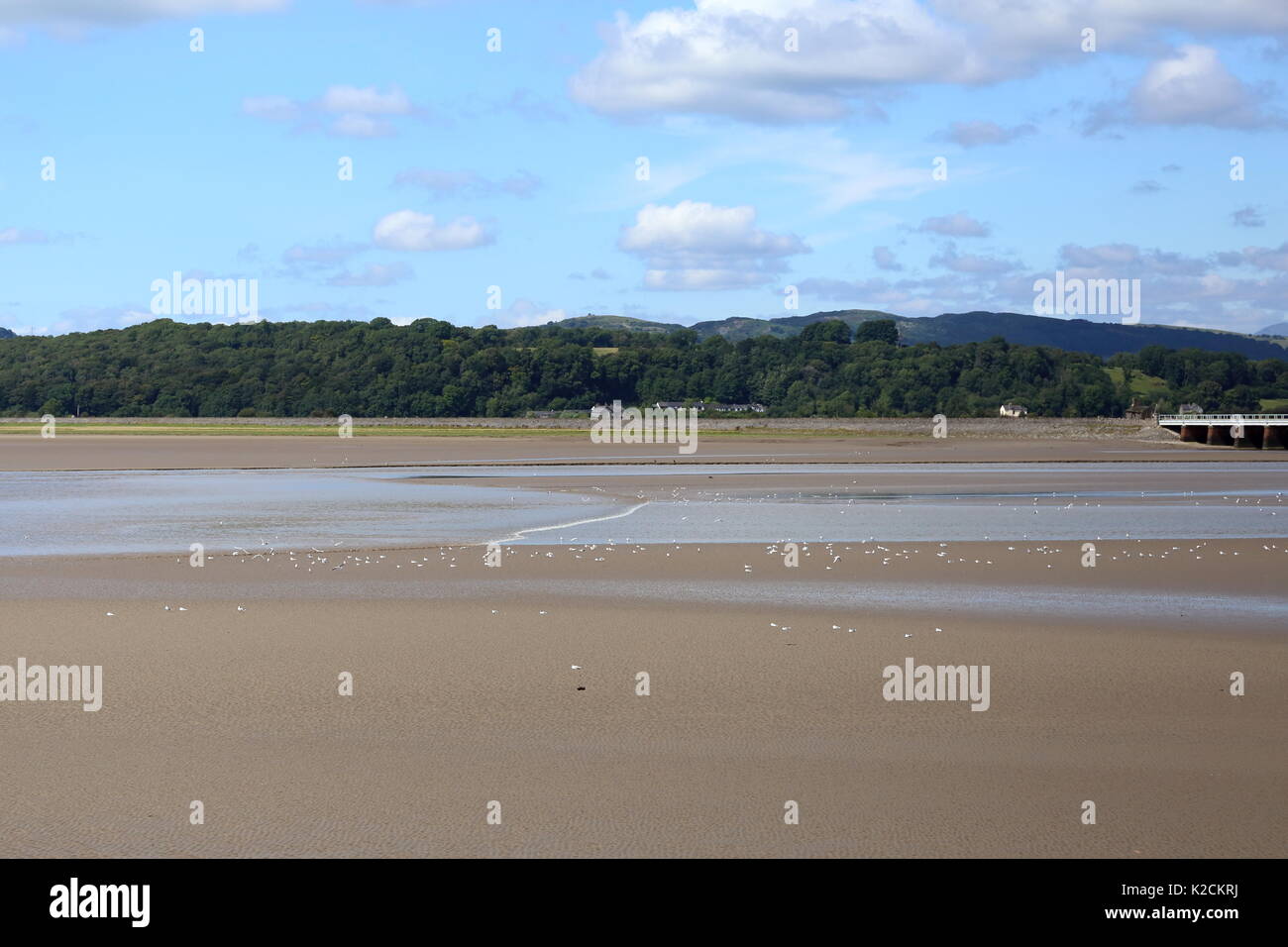 Tidal Bore kehrt den Fluss Kent Mündung in Arnside, Lancashire. Stockfoto