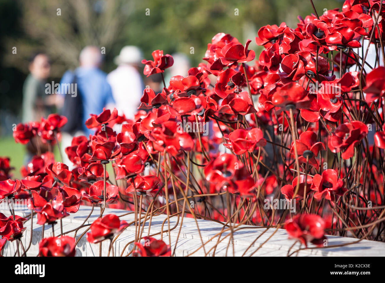 Mohnblumen Wave kunst Installation bei Plymouth Marine Memorial. Von Paul Cummins Artist und Tom Piper Designer. Hoe, Plymouth, Devon, England Großbritannien GB Stockfoto