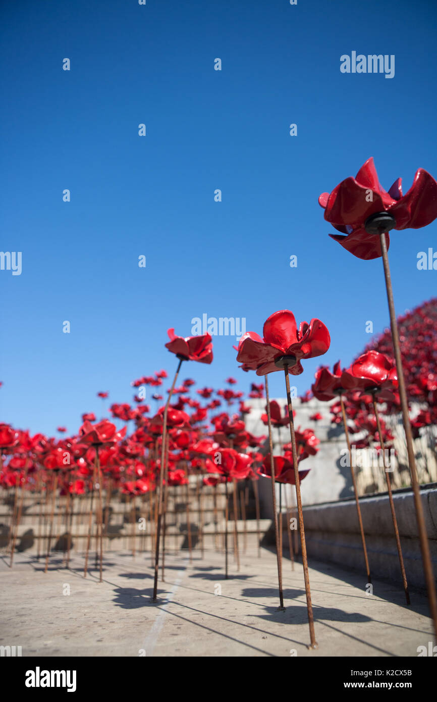 Mohnblumen Wave kunst Installation bei Plymouth Marine Memorial. Von Paul Cummins Artist und Tom Piper Designer. Hoe, Plymouth, Devon, England Großbritannien GB Stockfoto