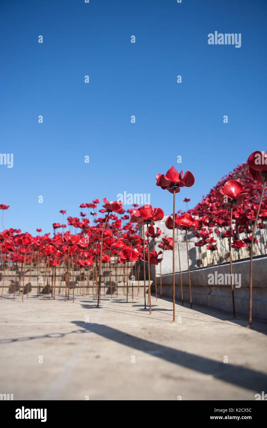 Mohnblumen Wave kunst Installation bei Plymouth Marine Memorial. Von Paul Cummins Artist und Tom Piper Designer. Hoe, Plymouth, Devon, England Großbritannien GB Stockfoto