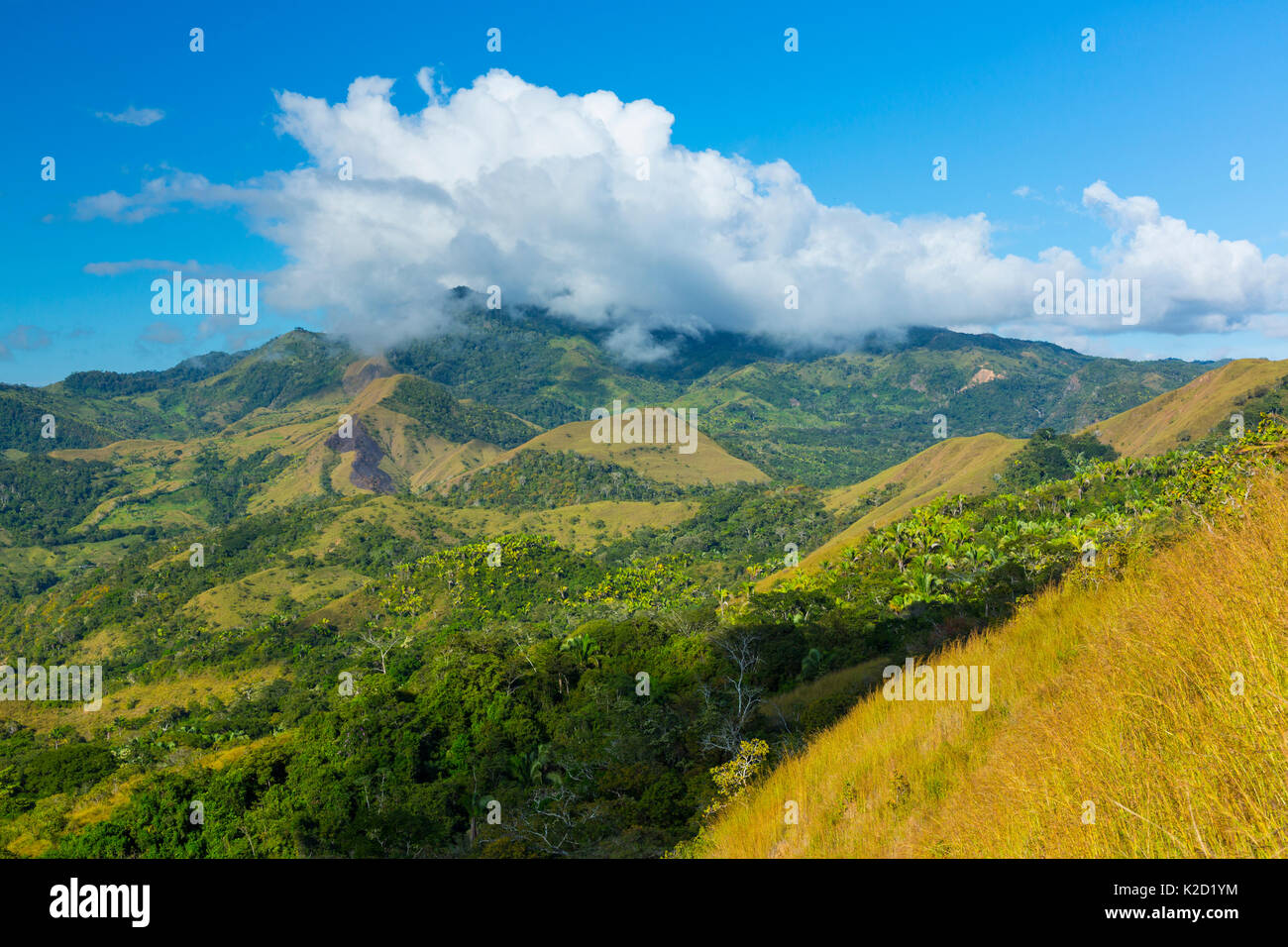 Bergige Landschaft in Oso Halbinsel, Costa Rica, Dezember 2015. Stockfoto