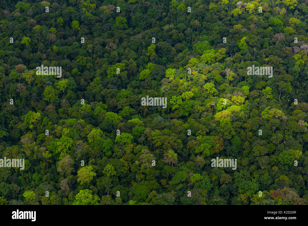 Luftaufnahme von Corcovado Nationalpark, Osa Halbinsel, Provinz Puntarenas, Costa Rica. Dezember 2014. Stockfoto