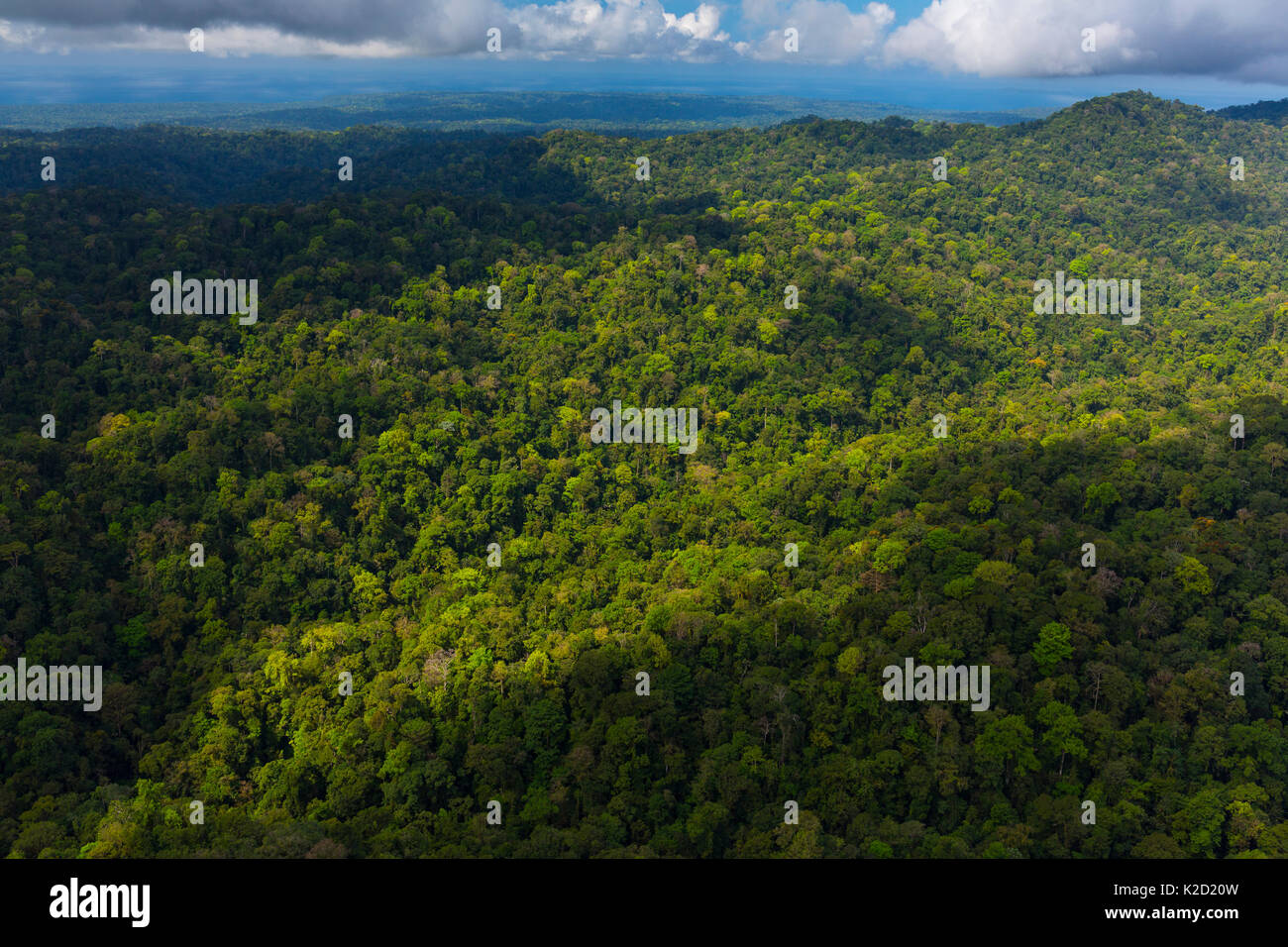 Luftaufnahme von Corcovado Nationalpark, Osa Halbinsel, Provinz Puntarenas, Costa Rica. Dezember 2014. Stockfoto