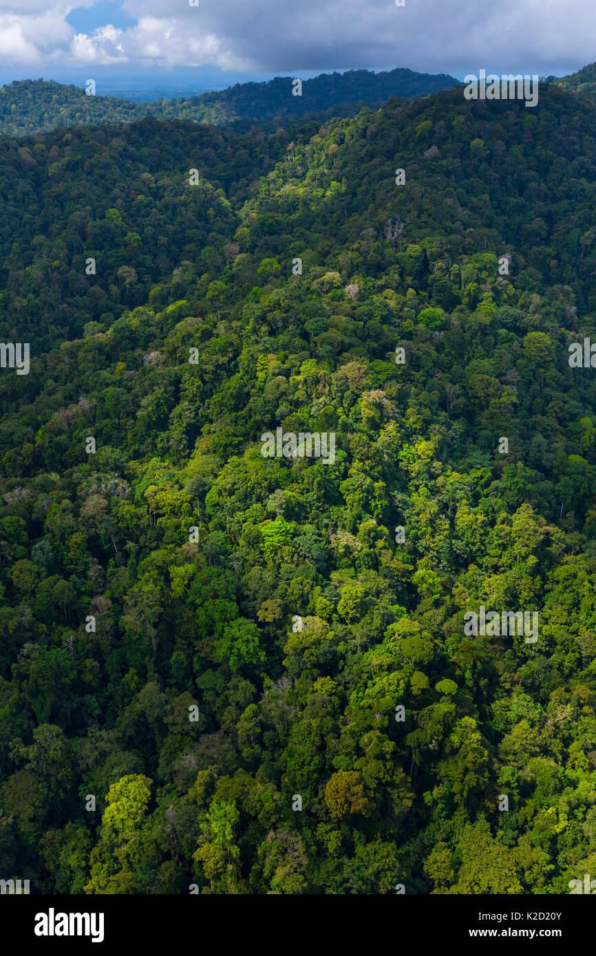 Luftaufnahme von Corcovado Nationalpark, Osa Halbinsel, Provinz Puntarenas, Costa Rica. Dezember 2014. Stockfoto