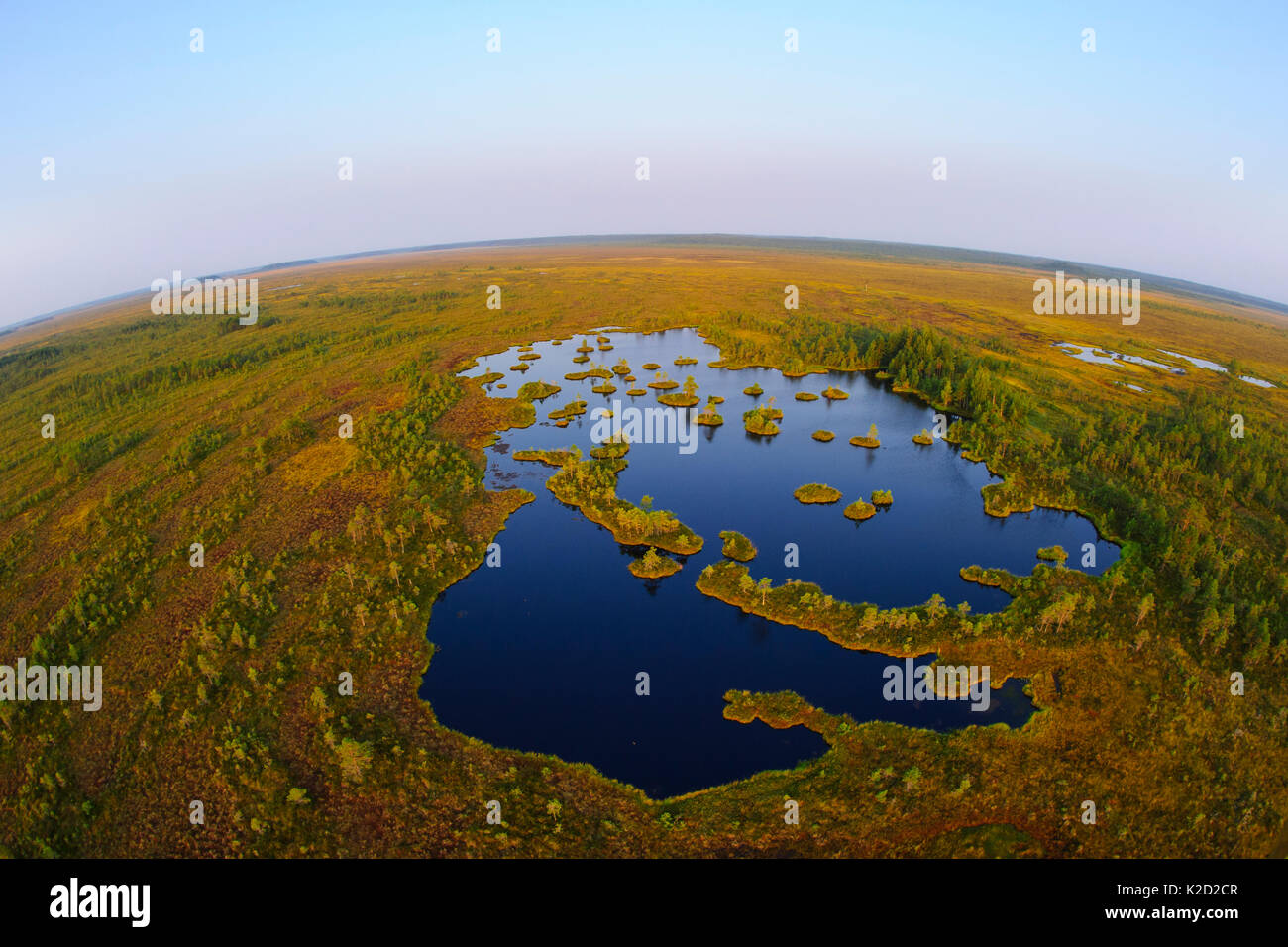 Luftaufnahme von muraka Raba pools und Inselchen, mit Fischaugenobjektiv, Moor, östlichen Estland. August 2011 Stockfoto