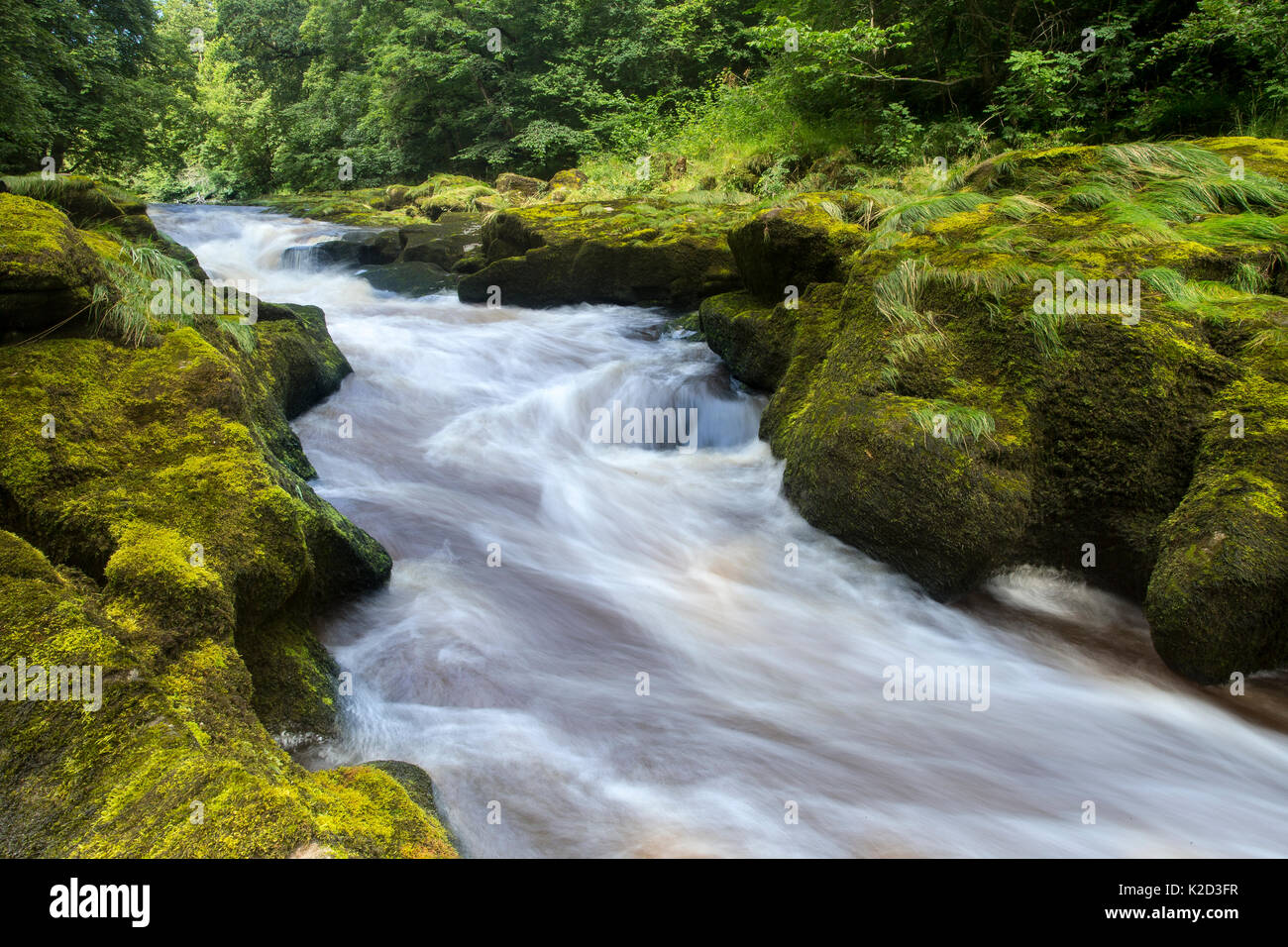 Die Strid, River Wharfe, Verschlusszeit, die Bewegung des Wassers, Bolton Abbey Estate, Wharfedale, North Yorkshire, August 2015 Stockfoto