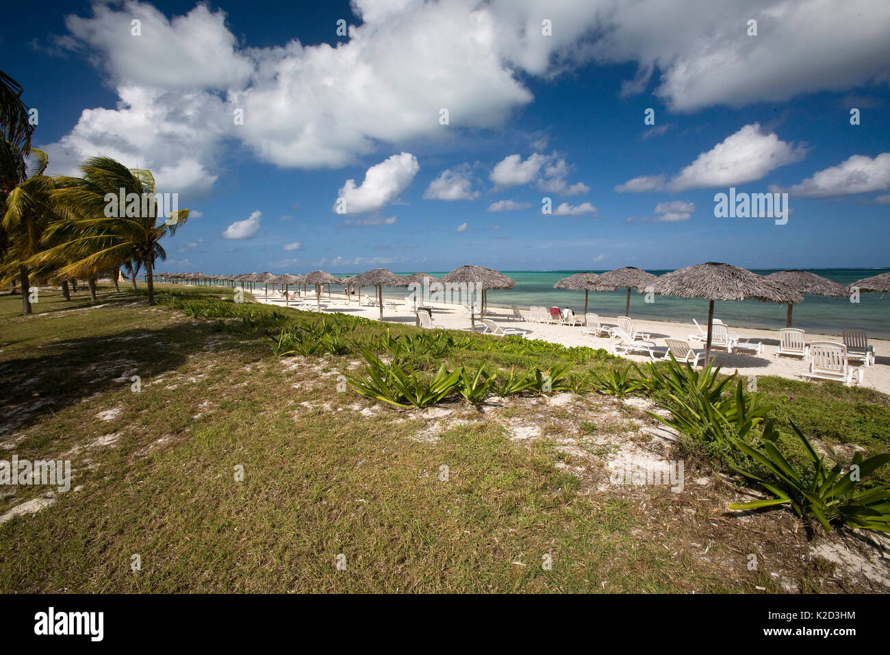 Sandstrand mit Palmen im Club Amigo Caracol Hotel, Santa Lucia, Camaguey, Kuba, Karibik, Atlantik Stockfoto