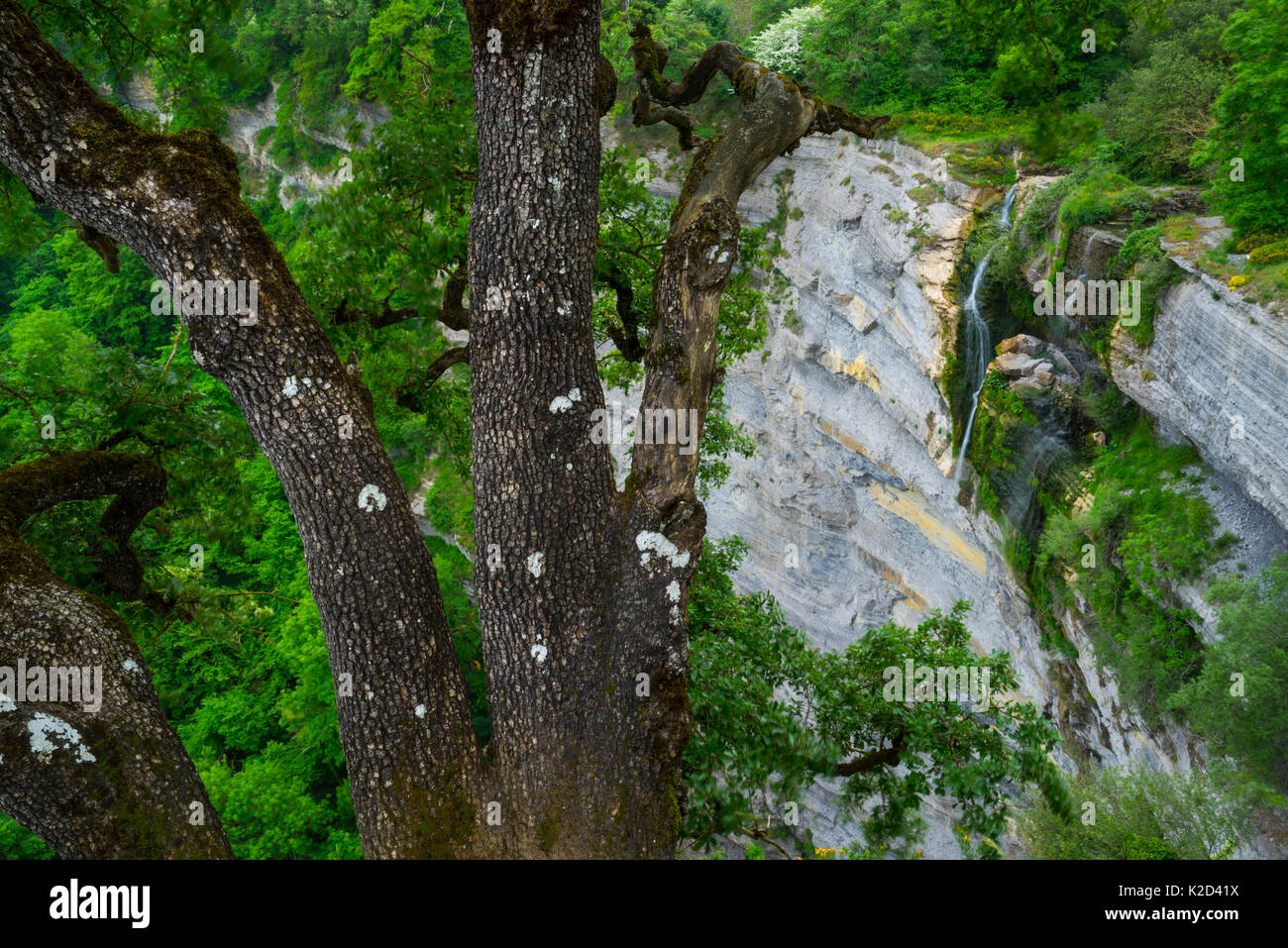 Gujuli Wasserfall auf der fernen Felswand, Naturpark Gorbeia, Alava, Baskenland, Spanien, Mai 2015. Stockfoto