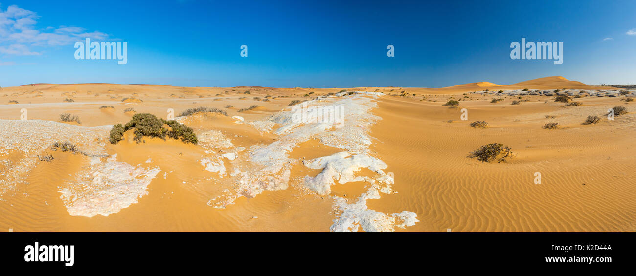 Sanddünen in Swakopmund mit spärlicher Vegetation, Namibia, Afrika, Juni 2015. Stockfoto