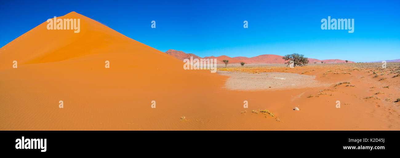 Sanddünen, Namib-Naukluft-Nationalpark, Namibia, Afrika, Juni 2015. Stockfoto