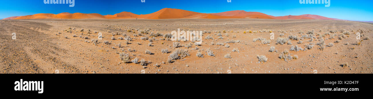 Ferne Sanddünen, Namib-Naukluft-Nationalpark, Namibia, Afrika, Juni 2015. Stockfoto