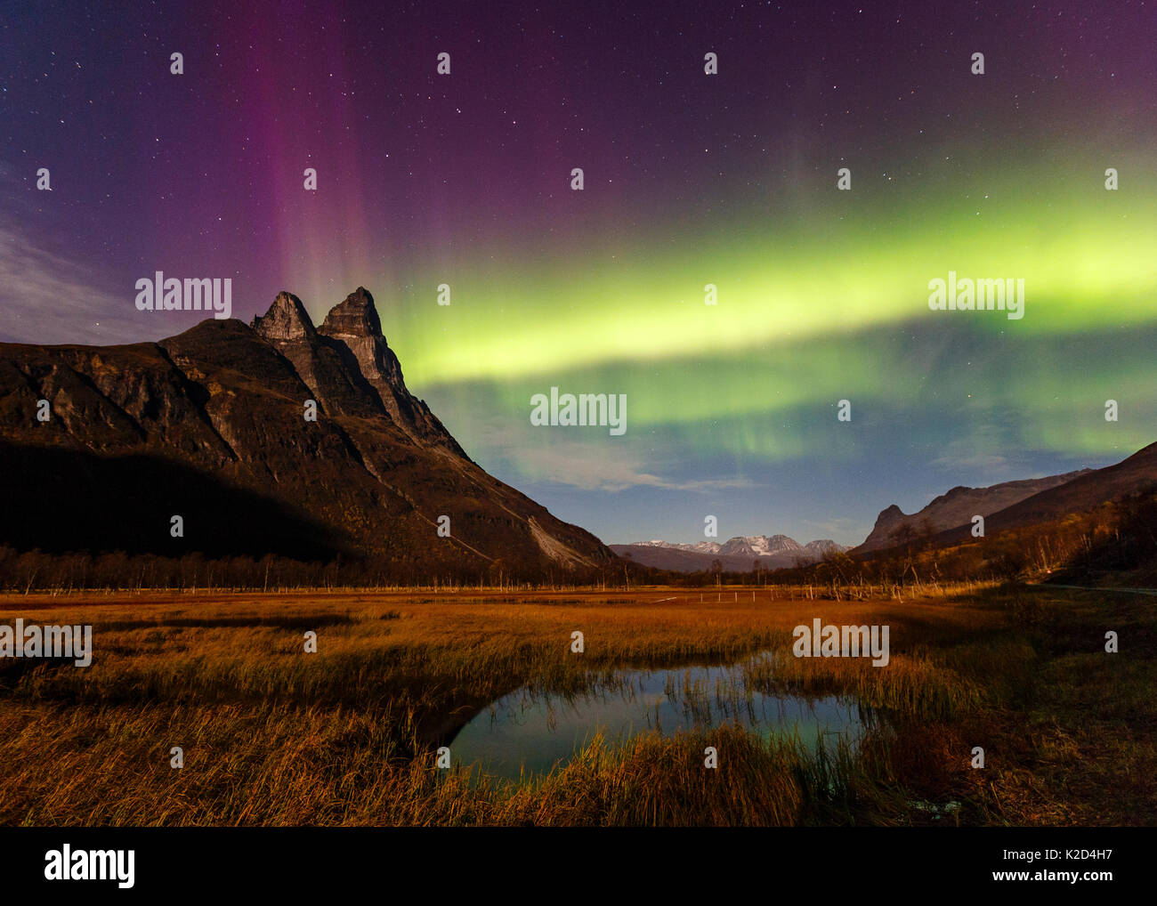 Nordlichter / Polarlichter über die Otertind Gipfel, Troms, Norwegen, Oktober 2014. Stockfoto