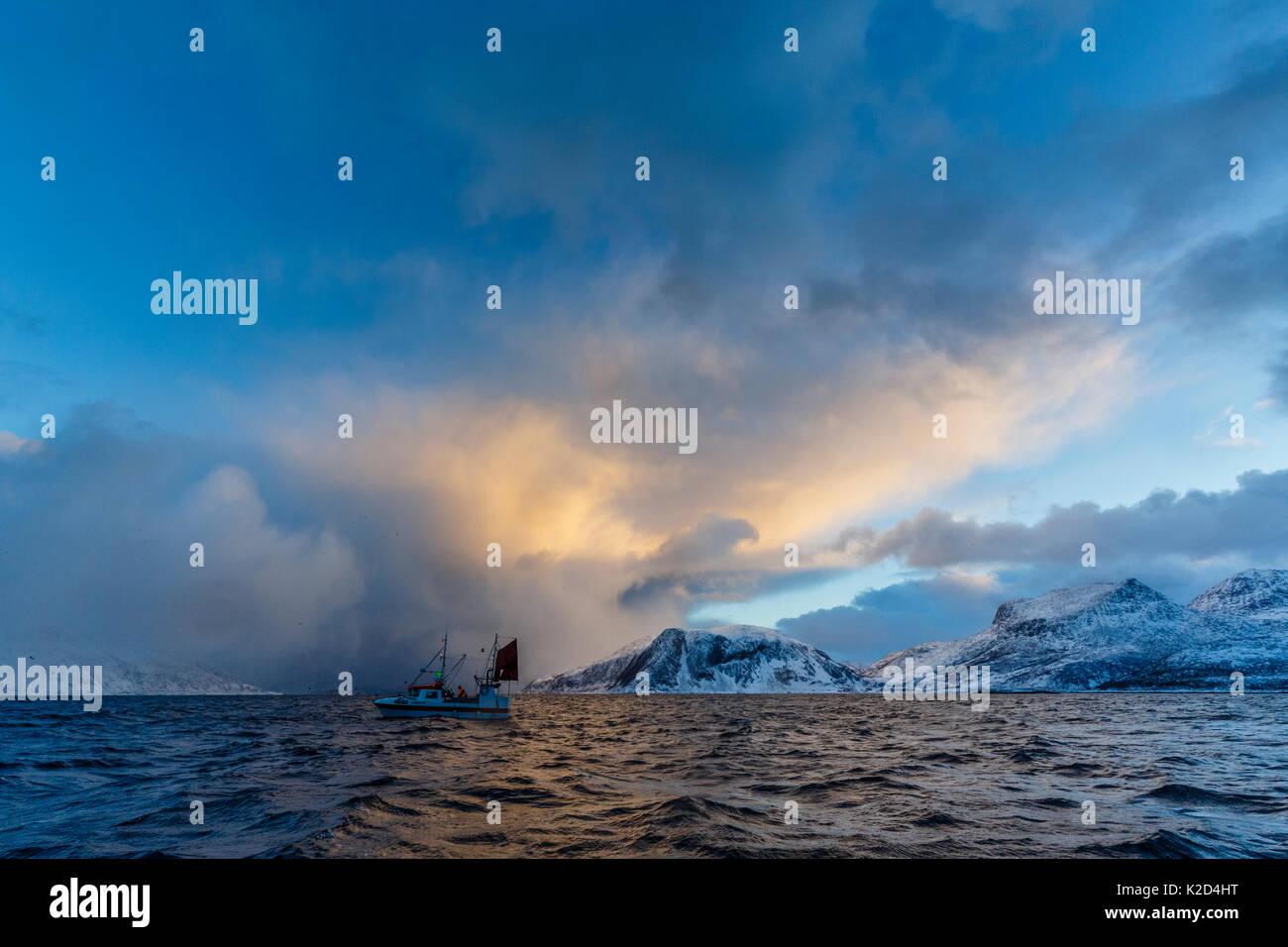 Kleines Fischerboot nahe der Küste, Kvaloya, Troms, Norwegen, November 2014. Stockfoto