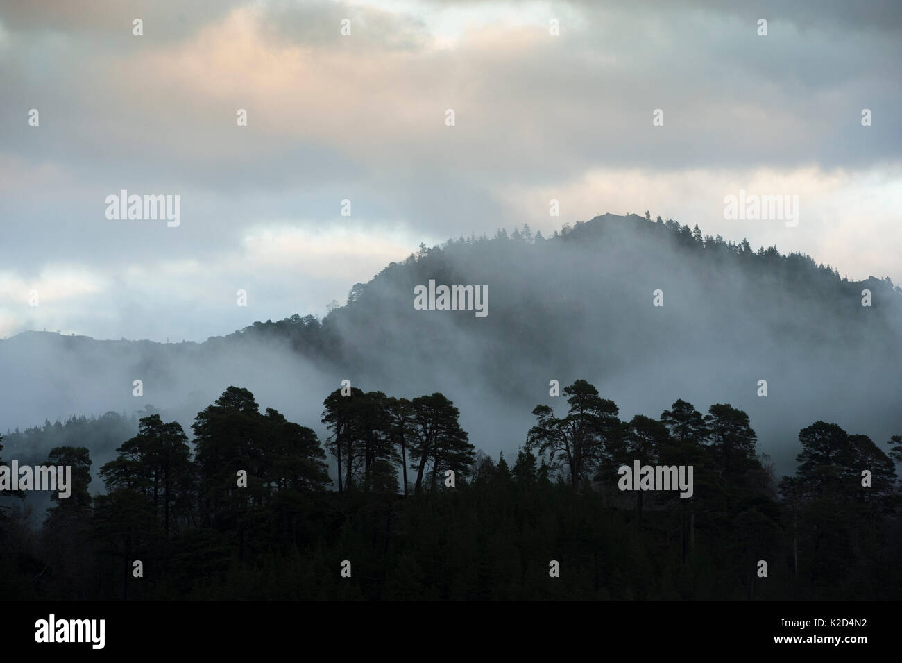 Misty Mountain landscape, Loch Beinn a Meadhoin, Inverness, Schottland, UK, Dezember 2013. Stockfoto