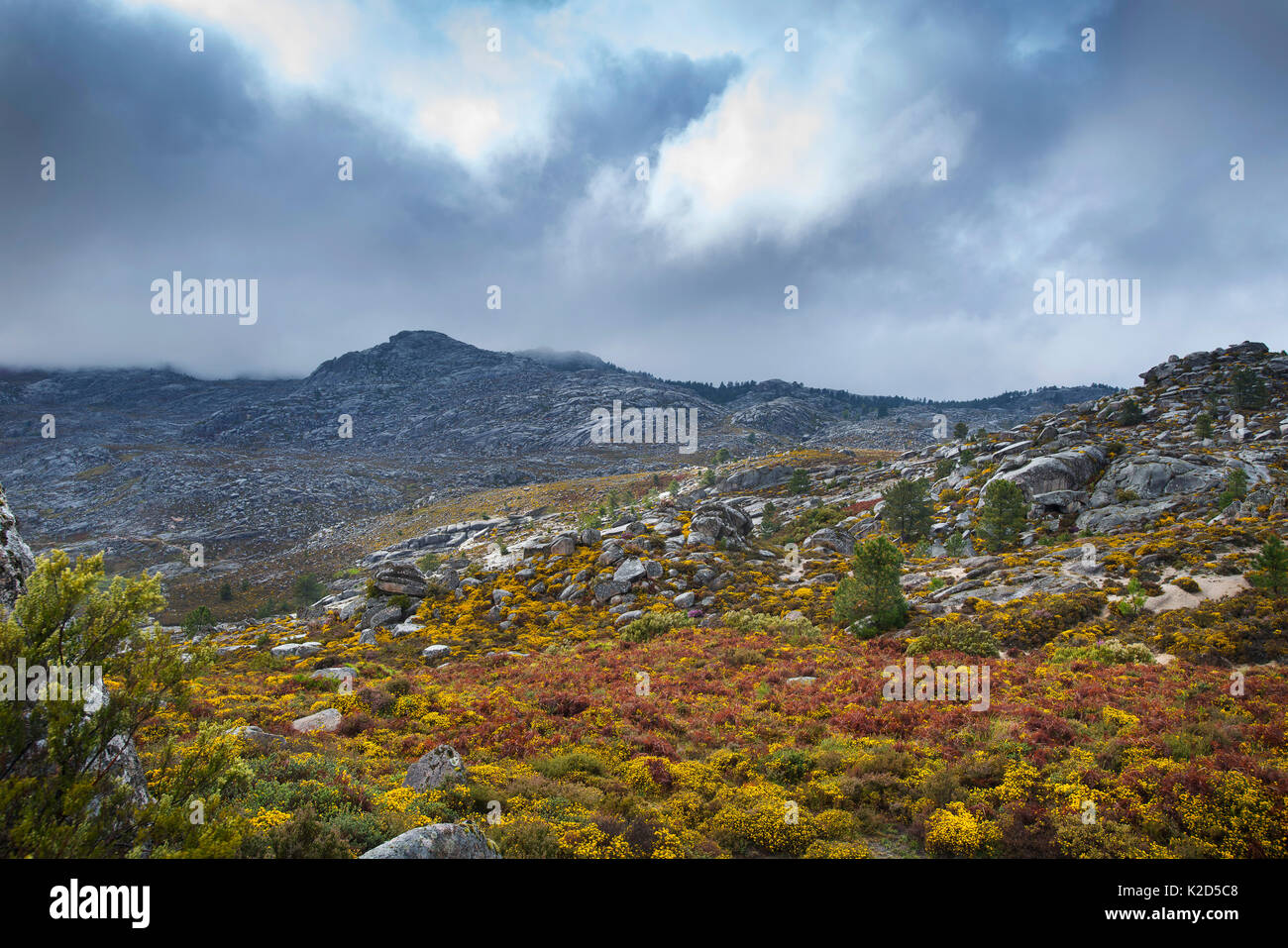 Arnal HIll, Alvao Mountain Range, Portugal, April 2015. Stockfoto