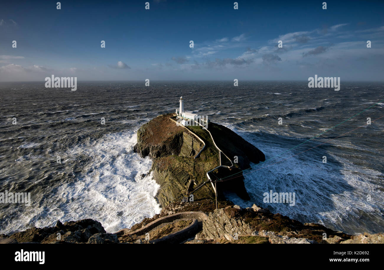 South Stack Lighthouse und RSPB Reservat, in einem Sturm, Anglesey, Wales Mai 2012 Stockfoto