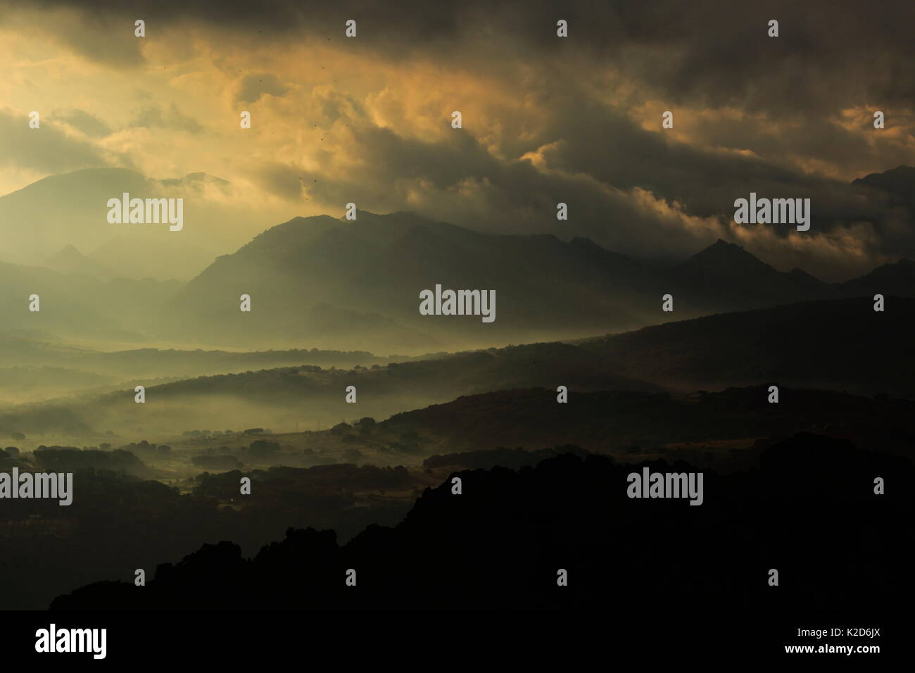 Nebel in Grazalema, Sierra de Grazalema Naturpark, Südspanien, November 2014. Stockfoto