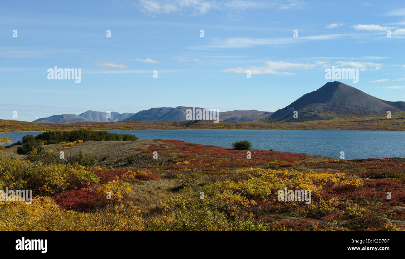 Tundra Landschaft mit Fluss, Sewards Halbinsel, Nome, Alaska, USA, September 2015 Stockfoto