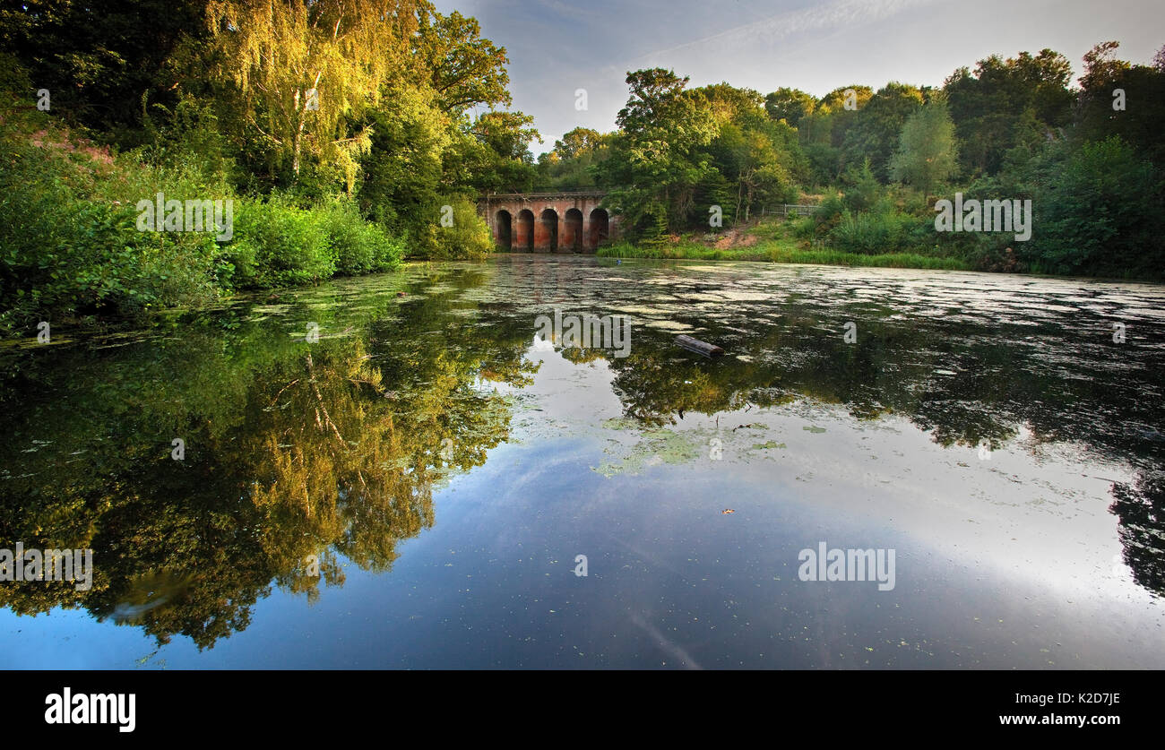 Viadukt Brücke und in noch Wasser spiegelt, Hampstead Heath, London, England, UK. September. 2012. Stockfoto