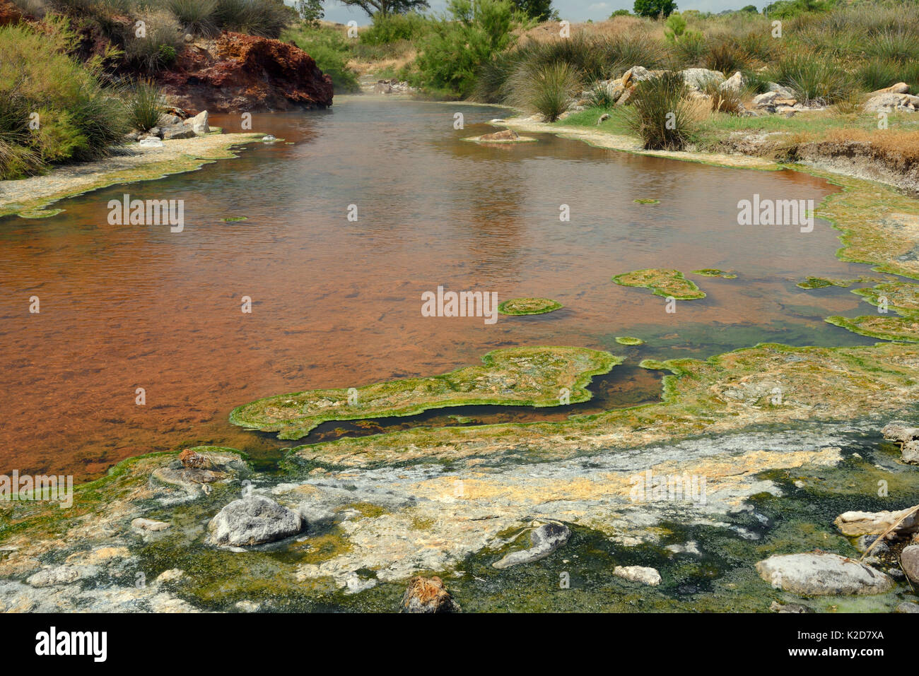 Thermischer Fluss, mit kochendem Wasser aus heißen Quellen gespeist, mit bunten Wucherungen und scummy Krusten von blau-grünen Algen, Heiße Quellen von Lisvori, Polychnitos, Lesbos/Lesbos, Griechenland, Mai 2013. Stockfoto