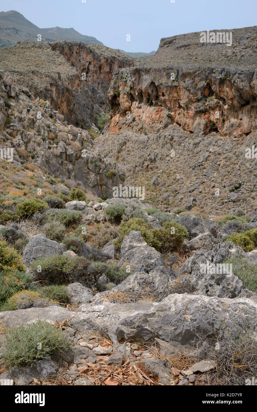 Zakros Schlucht, auch genannt die "Schlucht der Toten" aufgrund der Minoischen Höhle Bestattungen, Kato Zakros, Sitia Natur Park, Lassithi, Kreta, Griechenland, Mai 2013. Stockfoto